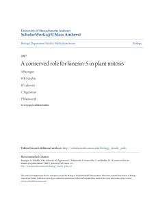 A conserved role for kinesin-5 in plant mitosis