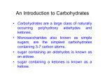 An Introduction to Carbohydrates