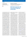 Glial heterogeneity: the increasing complexity of the brain