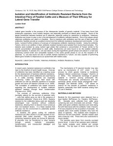 Isolation and Identification of Antibiotic Resistant Bacteria from the