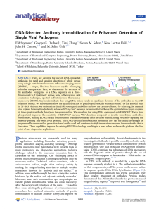 DNA-Directed Antibody Immobilization for