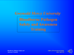 Gwynedd Mercy University Bloodborne Pathogen Safety