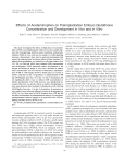 Effects of Acetaminophen on Preimplantation Embryo Glutathione