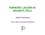 FERMIONIC LADDERS IN MAGNETIC FIELD
