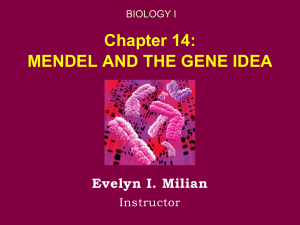 Chapter 14: MENDEL AND THE GENE IDEA