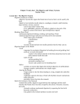 Chapter Twenty-four: The Digestive and Urinary Systems Teacher