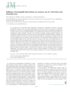 Influence of intraguild interactions on resource use by