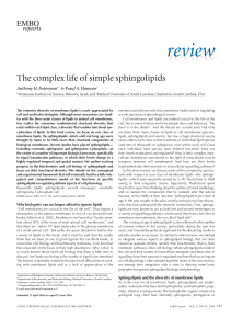 The complex life of simple sphingolipids