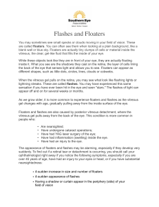 Flashes and Floaters - Southern Eye Associates