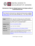 Mechanisms of fast and stringent search in homologous pairing of