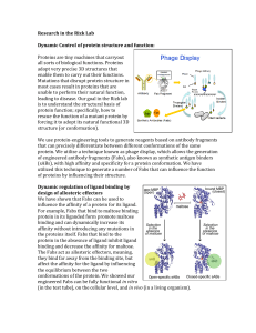 Research in the Rizk Lab Dynamic Control of protein structure and