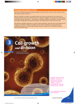 Cell growth - Singapore Math