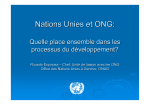 pdf (English) R. Espinosa - NGO and UN