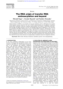 The RNA origin of transfer RNA aminoacylation and beyond