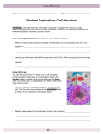 Student Exploration: Cell Structure