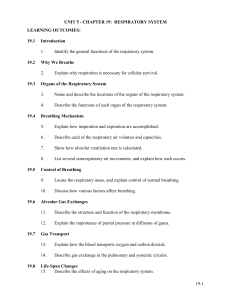 CHAPTER 19: RESPIRATORY SYSTEM