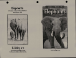 • Elephants