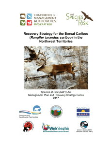 Recovery Strategy for the Boreal Caribou in the NWT (2017)