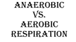ANAEROBIC VS. AEROBIC RESPIRATION