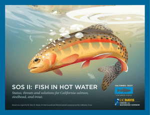 SOS II: FISH IN HOT WATER