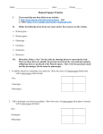 Punnett Square Worksheet 1 - Flipped Out Science with Mrs. Thomas!