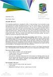 CIC Group Letterhead - For use in correspondence