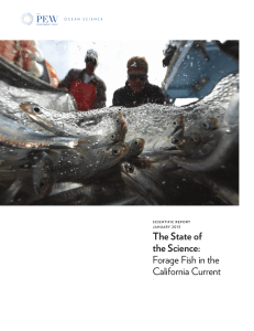 the state of the science: Forage Fish in the California Current