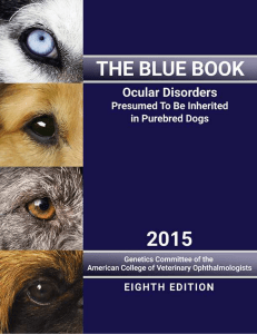 Ocular Disorders Presumed to be Inherited in Purebred Dogs