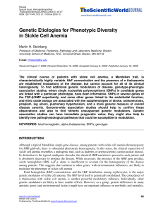 Genetic Etiologies for Phenotypic Diversity in Sickle Cell Anemia