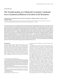 The Transformation of a Unilateral Locomotor Command into a