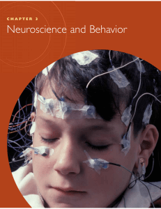 CHAPTER 3 Neuroscience and Behavior