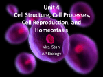 Unit 4 Cell Structure, Cell Processes, Cell Reproduction, and