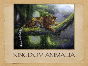 SATP-2 KINGDOM ANIMALIA part 1