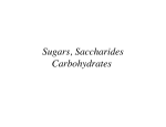 Sugars, Saccharides Carbohydrates