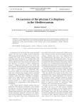 Occurrence of the phylum Cycliophora in the Mediterranean