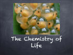Chem of life