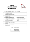 TOPIC B1: CELL LEVEL SYSTEMS B1.3 RESPIRATION