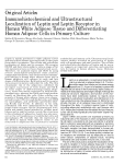 Immunohistochemical and ultrastructural localization of leptin and