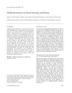 Wolbachia bacteria in filarial immunity and disease