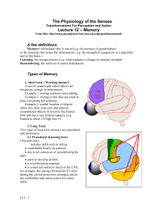 Types of Memory