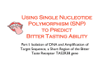 1.PtI.SNPs and TAS2R38 Bitter Taste Receptor Gene.v3
