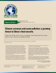 Climate extremes and ozone pollution: a growing threat to China`s
