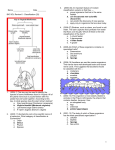 BIO SOL Review 6