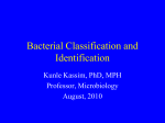 Bacterial Classification and Identification