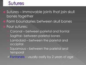 Sutures – Immovable joints that join skull bones together Form