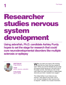 Researcher studies nervous system development
