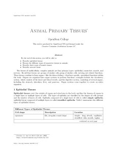 Animal Primary Tissues