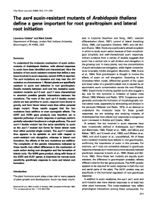 The axr4 auxin-resistant mutants of Arabidopsis thaliana define a