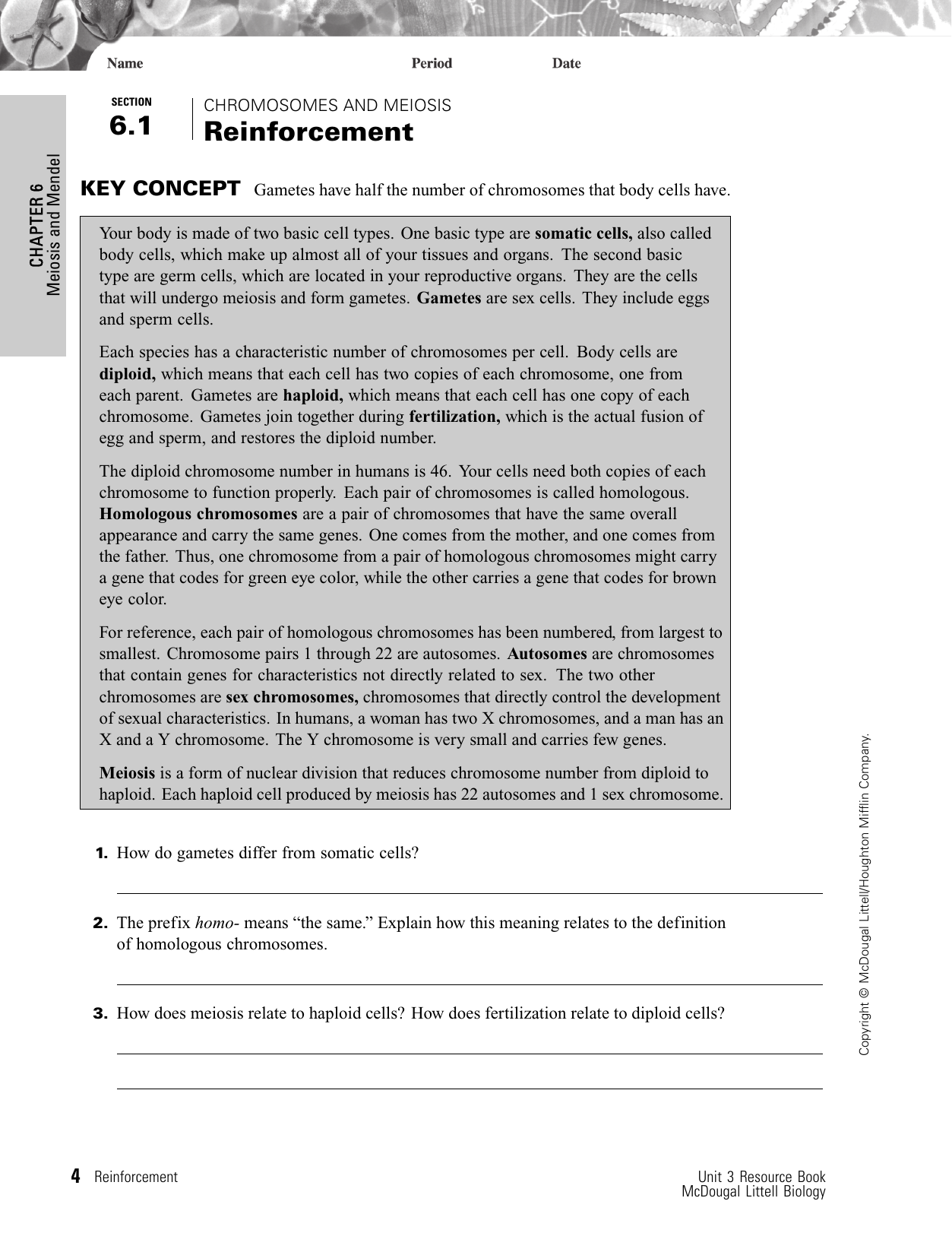 section-1-reinforcement-cell-division-and-mitosis-worksheet-answers-escolagersonalvesgui