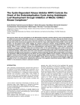 The Cyclin-Dependent Kinase Inhibitor KRP2